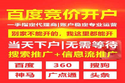 某电商平台的SEM运营实战与效果分析